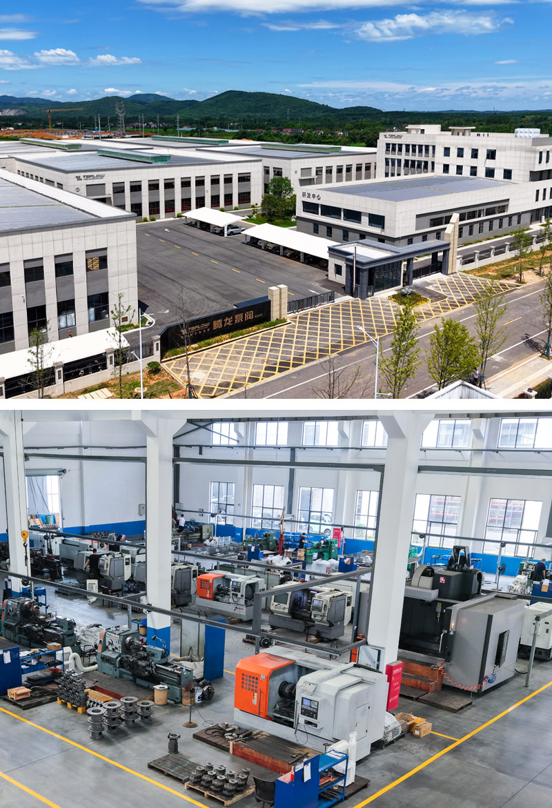 pakar dalam pam pemacu magnet adat - pam tenglong & injap